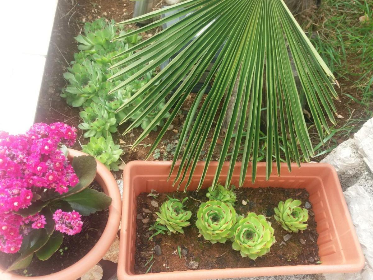 אומיסאליי Apartment Rb מראה חיצוני תמונה